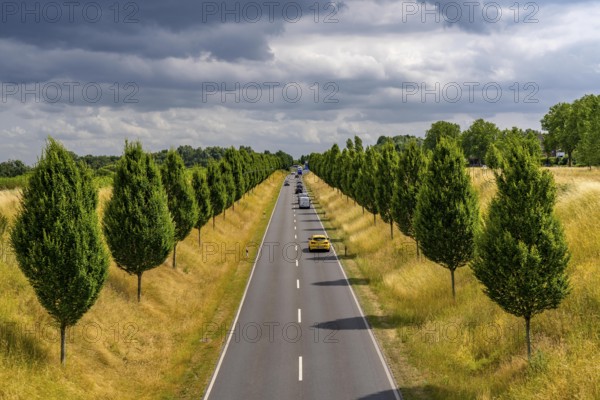 Dorstfelder Allee in Dortmund, completely new road built in 2013, former farmland, in the Dorstfeld