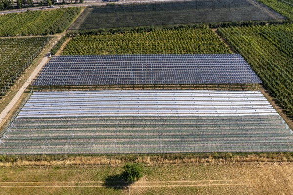 Agri-photovoltaic test plant, an apple orchard with two different systems of PV modules was roofed