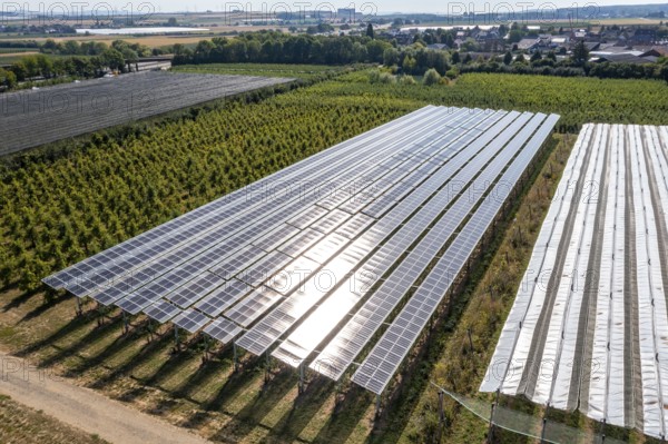Agri-photovoltaic test plant, an apple orchard with two different systems of PV modules was roofed