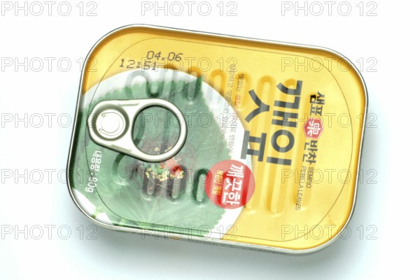 Perilla, green, Perilla fructescens, vegetable, medicinal plant, Asian cuisine, pickled perilla