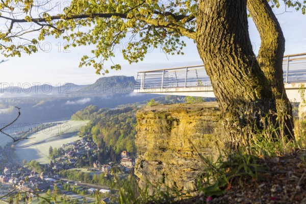 Sunrise in Saxon Switzerland, Rathen, Saxony, Germany, Europe