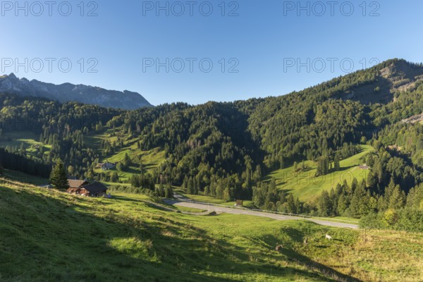 Urnäsch, Alpine pasture, Forest, Canton Appenzell, Ausserrhoden, Appenzell Alps, Switzerland,