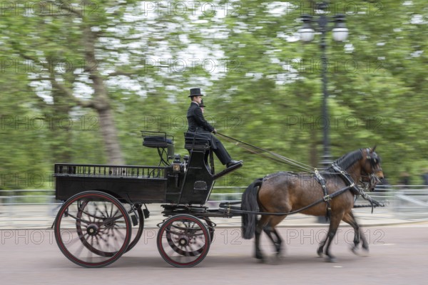 Horse-drawn carriage, Trooping the colour, military parade in June in honour of the British