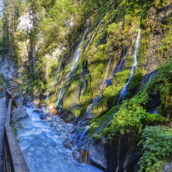 A crystal-clear river flows through moss-covered rocks and trees in a tranquil natural landscape,