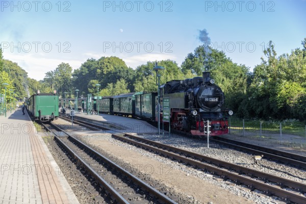 Train waiting at the station, surrounded by green nature and blue sky, Rügen, Rasender Roland