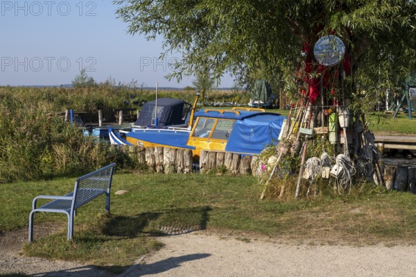Fishing harbour on the Achterwasser, Zempin, Usedom Island, Baltic Sea, Mecklenburg-Western