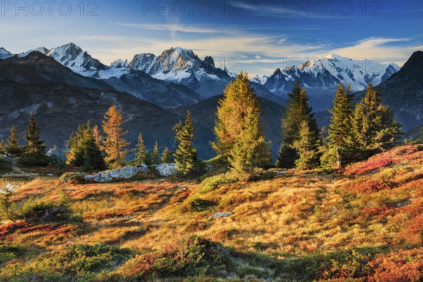 View of the Aiguille Verte and Mont Blanc in the first morning light in the Savoy, France, Europe