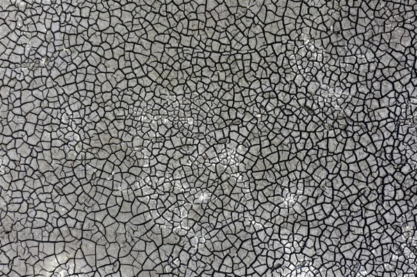 The bottom of a dried-up fish pond in Reckahn in Brandenburg looks like parched desert soil. The