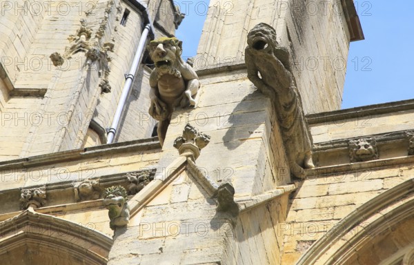 Gargoyles on Ely cathedral church, Ely, Cambridgeshire, England, UK