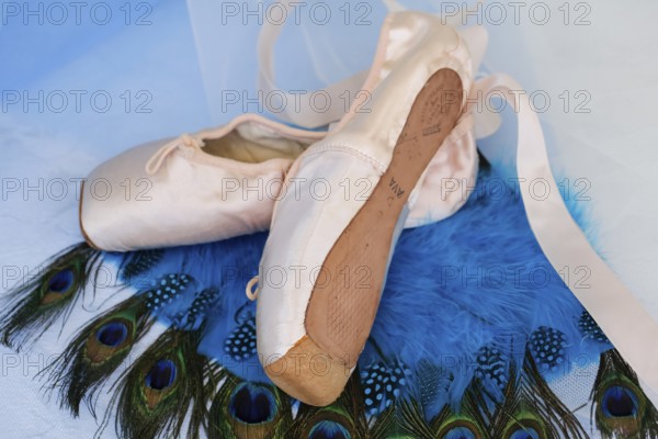 Ballet shoes, pointe shoes on peacock feathers, still life, dance shoes covered with satin in light