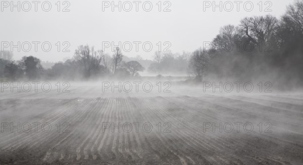 Morning fog clearing from wet fields, Alderton, Suffolk, England, United Kingdom, Europe