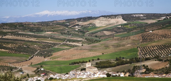 Alhama de Granada, Spain in Andalucian farming landscape of fields and rolling hills