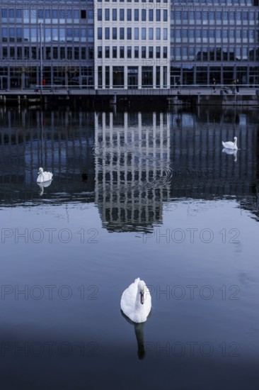 Phönixsee Dortmund, 05.04.2024. Artificially created lake on the former steelworks site of the