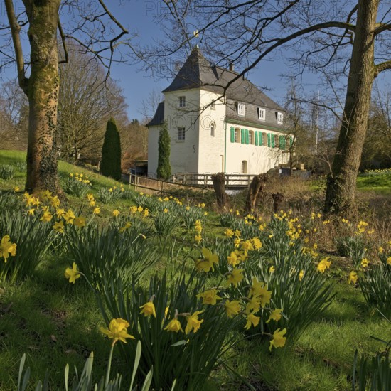 Goldberg Mill in spring, historical sight, Mettmann, Bergisches Land, North Rhine-Westphalia,