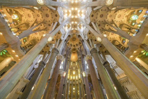 Nave, ceiling vault, columns, Sagrada Familia, Basilica by Antoni Gaudi, Barcelona, Catalonia,