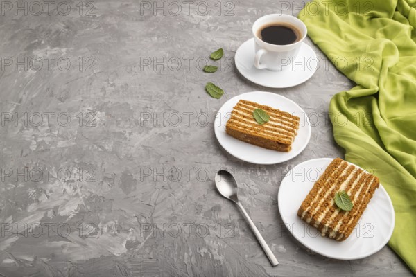 Homemade honey cake with milk cream and mint with cup of coffee on a gray concrete background and