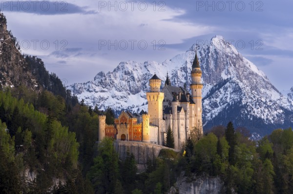 Neuschwanstein Castle near Füssen, Schwangau, Allgäu Alps, night shot, illuminated, snow, East