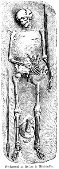 Complete skeleton from the cemetery of Selzen, a row cemetery from the Merovingian period, grave