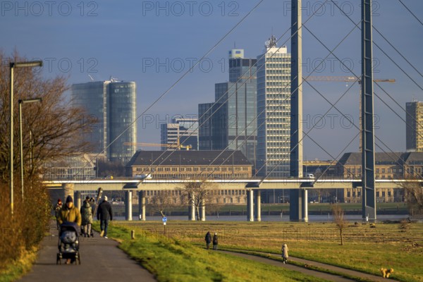 View of the Düsseldorf skyline with the Rheinkniebrücke bridge from the Oberkassler Rheinwiesen