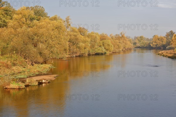 Autumn foliage colouring on the banks of the Mulde river near Dessau, Autumn atmosphere in the