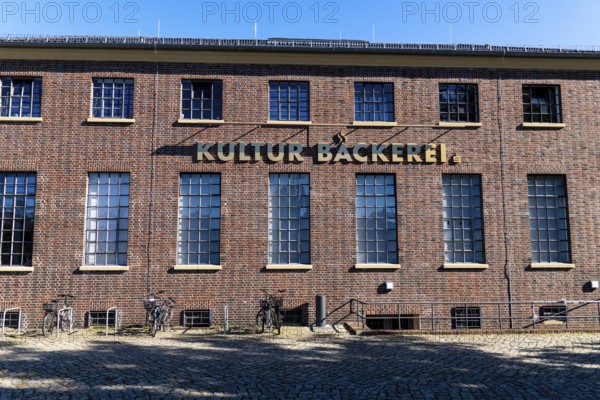 CultureBakery, art, culture, artists' studio, painting, music, design, arts and crafts, sculpture,