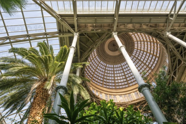 Central hall with dome, palm garden, Ny Carlsberg Glyptotek or New Carlsberg Glyptothek, art museum