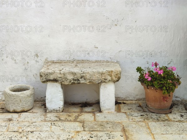 Stone bench and flower pot with geraniums on a rustic stone floor in front of a white wall, Apulia,