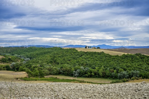 Landscape near San Quirico d'Orcia, Tuscany, Italy, Europe