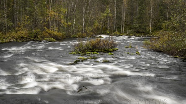 River course in Oulanka National Park, Finland, Europe