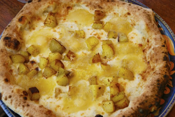 Italian cuisine, Mediterranean cuisine, pizza with potatoes and cheese, Taleggio, baked, from the