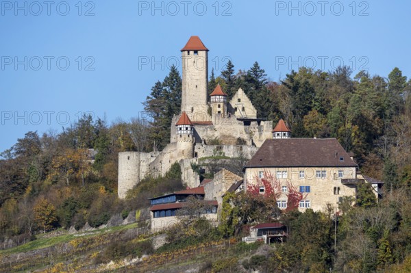Hornberg Castle, castle of the knight Götz von Berlichingen. Landmark of Neckarzimmern and one of