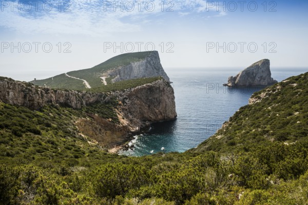 Coast with steep cliffs, Capo Caccia, near Alghero, Sardinia, Italy, Europe