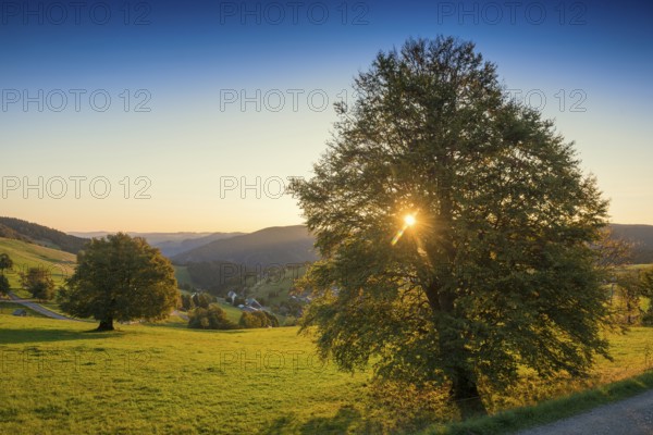 Sunrise, Hofsgrund, Oberried, Schauinsland, Black Forest, Baden-Württemberg, Germany, Europe