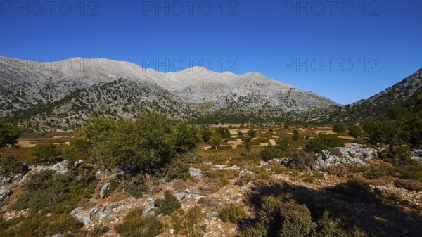 Niatos Plateau, Wide landscape with mountain range and sparse vegetation under blue sky, near Lefka
