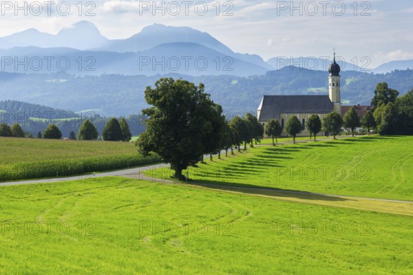 Pilgrimage church of St Marinus in Wilparting, cornfield, avenue, meadow, municipality of