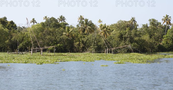 Palm trees and Chinese fishing nets on the shore of Lake Vembanad, canal system of the backwaters,
