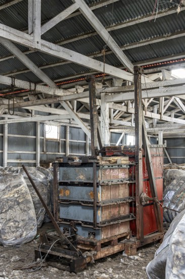 Packaging machine, Estancia San Gregorio, Puente Alto, Metropolitan Region, Chile, South America