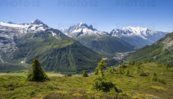 Mountain panorama with glaciated mountain peaks, Aiguille de Chardonnet with Glacier du Tour,