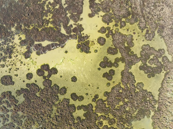 Marshland at low tide. Nature Reserve La Breña y Marismas del Barbate. Aerial view. Drone shot.