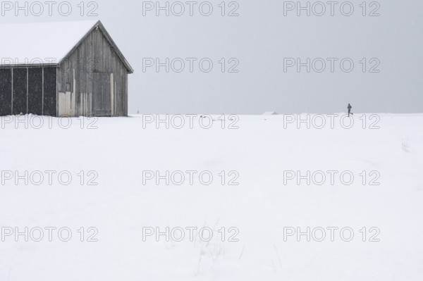 Wooden house, jogger, winter landscape, research settlement, Ny-Ålesund, Spitsbergen Island,