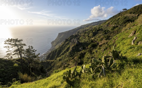 Evening mood, green coastal landscape on a steep cliff, sea and coast, viewpoint Miradouro da