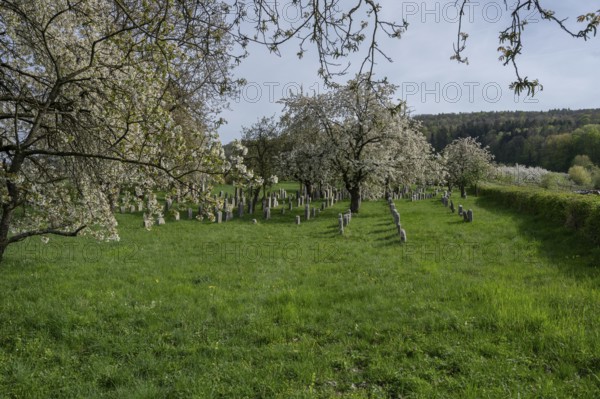 Jewish cemetery, established 1734, last occupancy 1934, Hagenbach, Upper Franconia, Bavaria,