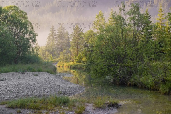 Isar valley nature conservancy area. The wild Isar river flows through its gravel bed past