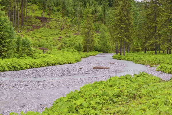 Enger-Grund creek, Eng valley, Tyrol, Austria, Europe