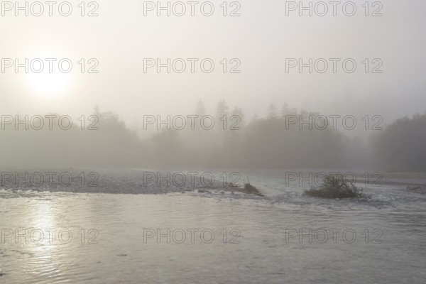 Isar valley nature conservancy area. The wild Isar river flows through its gravel bed past