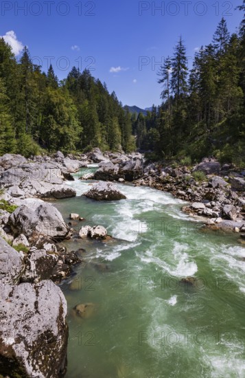 Mountain stream, Triftsteig along the Saalach near Lofer, Saalachtal, Pinzgau, Salzburg province,