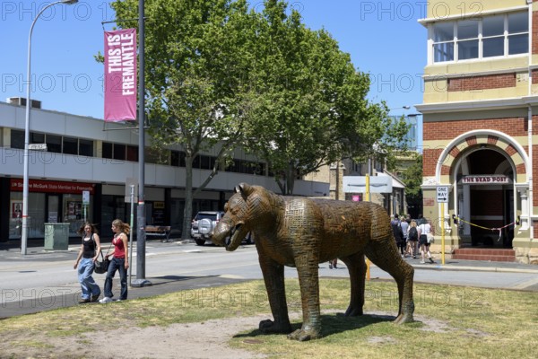 Bronze sculpture of a chimera by Susan Flavell, hybrid creature with body parts of various animals,