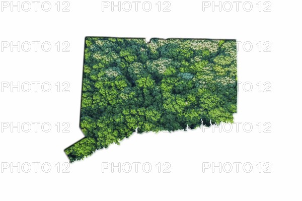 Green Forest Map of Connecticut, on white background