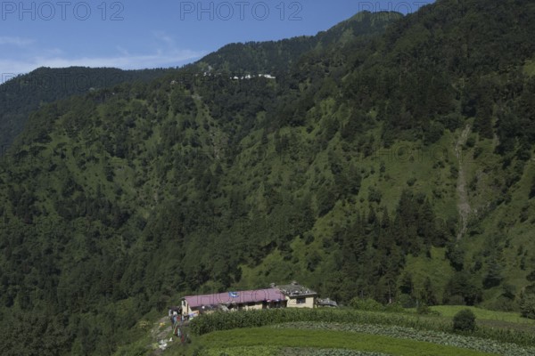 Nainital hills, uttarakhand, india, Asia