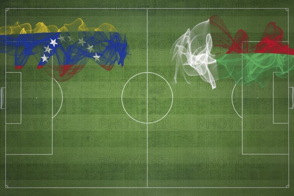 Venezuela vs Madagascar Soccer Match, national colors, national flags, soccer field, football game,